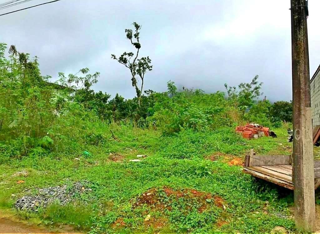 #131 - Área para Venda em Bertioga - SP