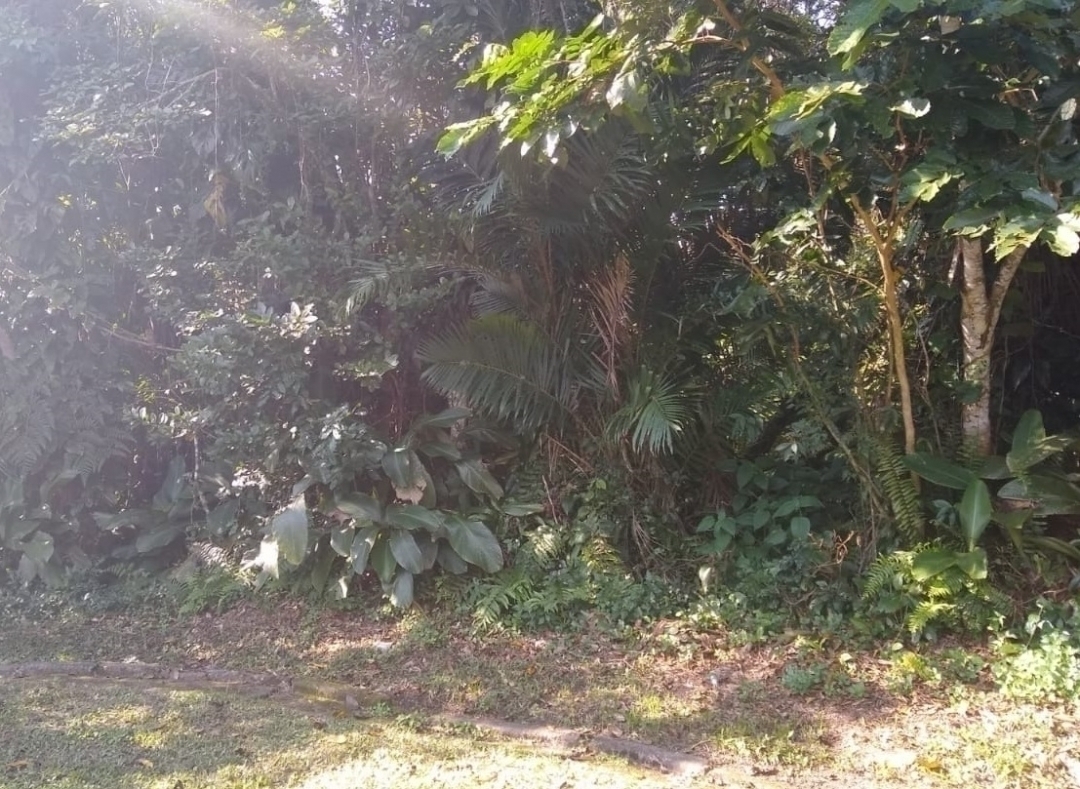 #367 - Área para Venda em Bertioga - SP