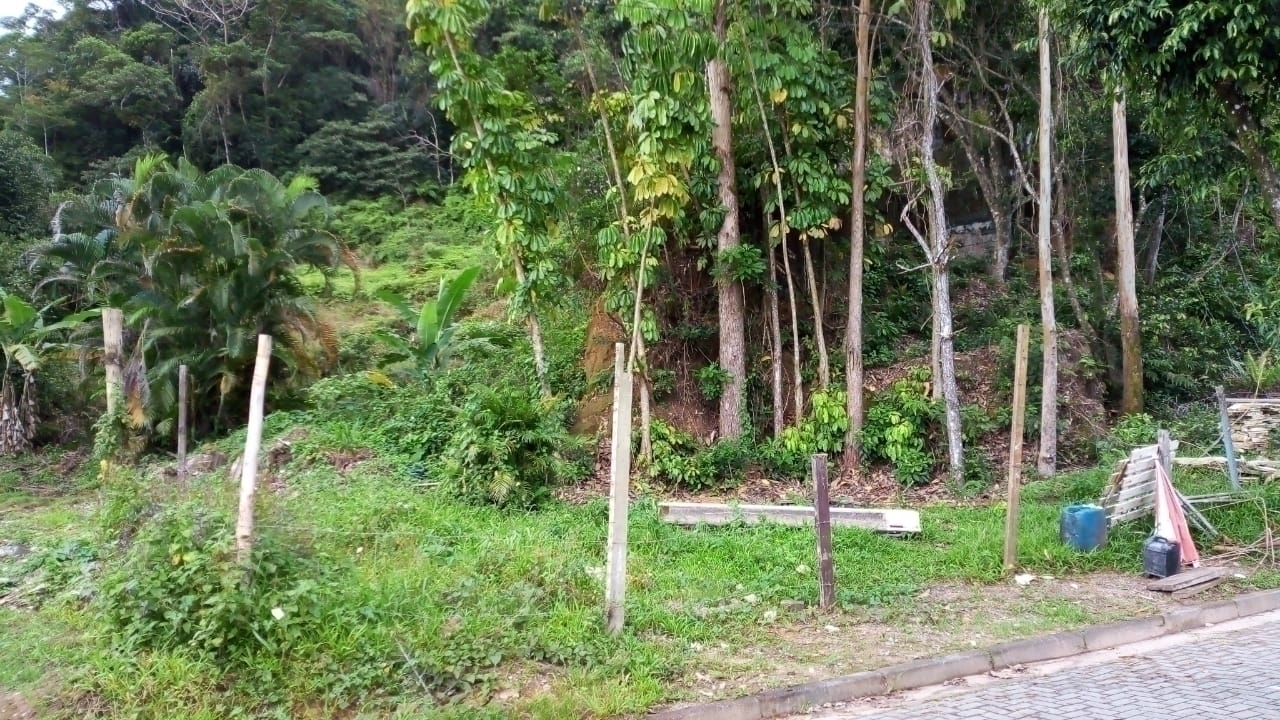 #403 - Área para Venda em São Sebastião - SP