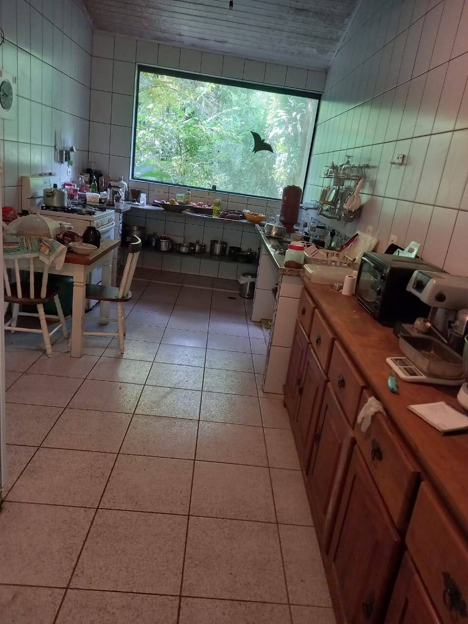 Casa, 4 quartos - Foto 2