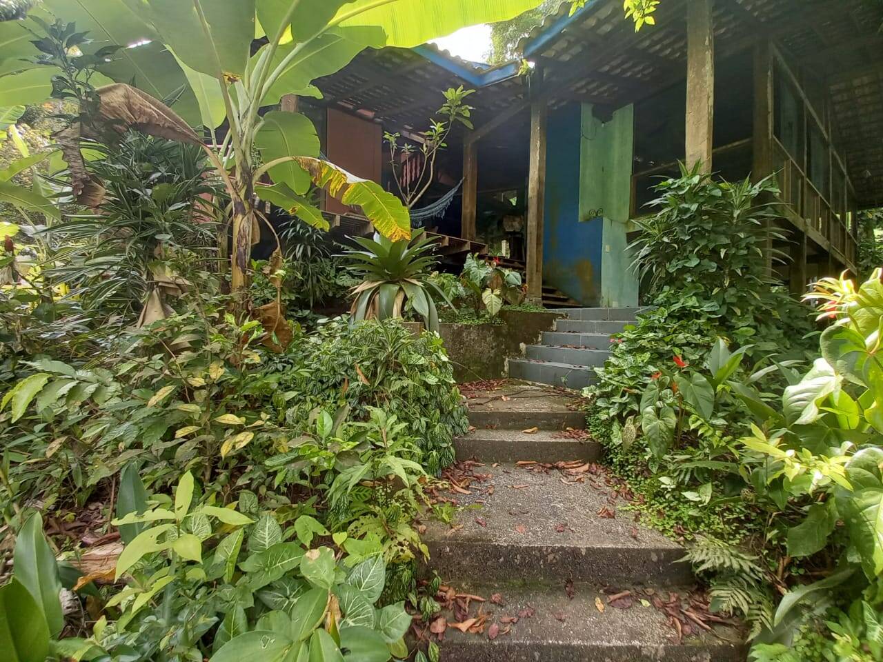 Casa, 4 quartos - Foto 4