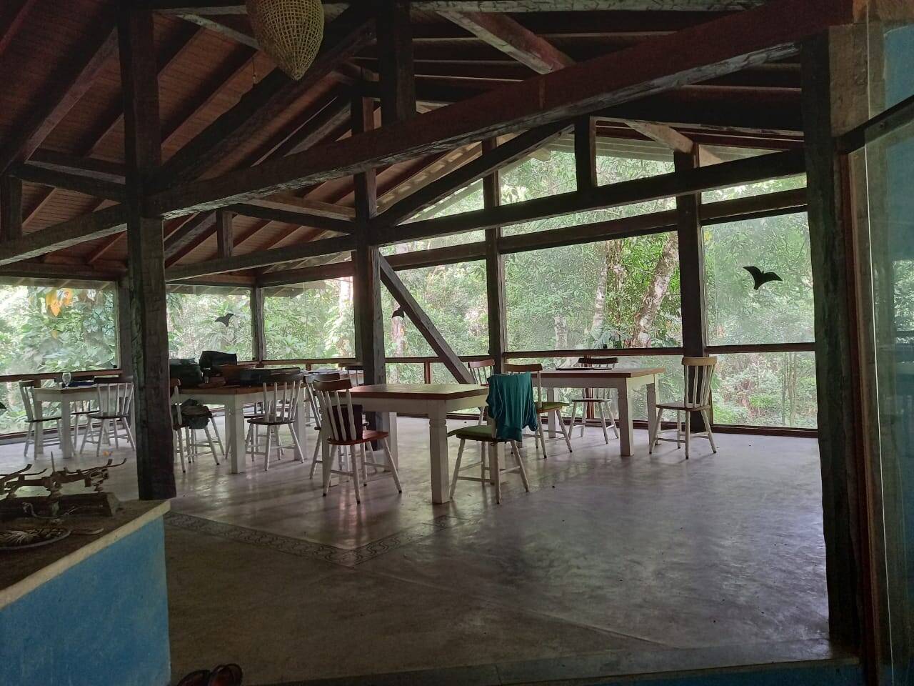 Casa, 4 quartos - Foto 5