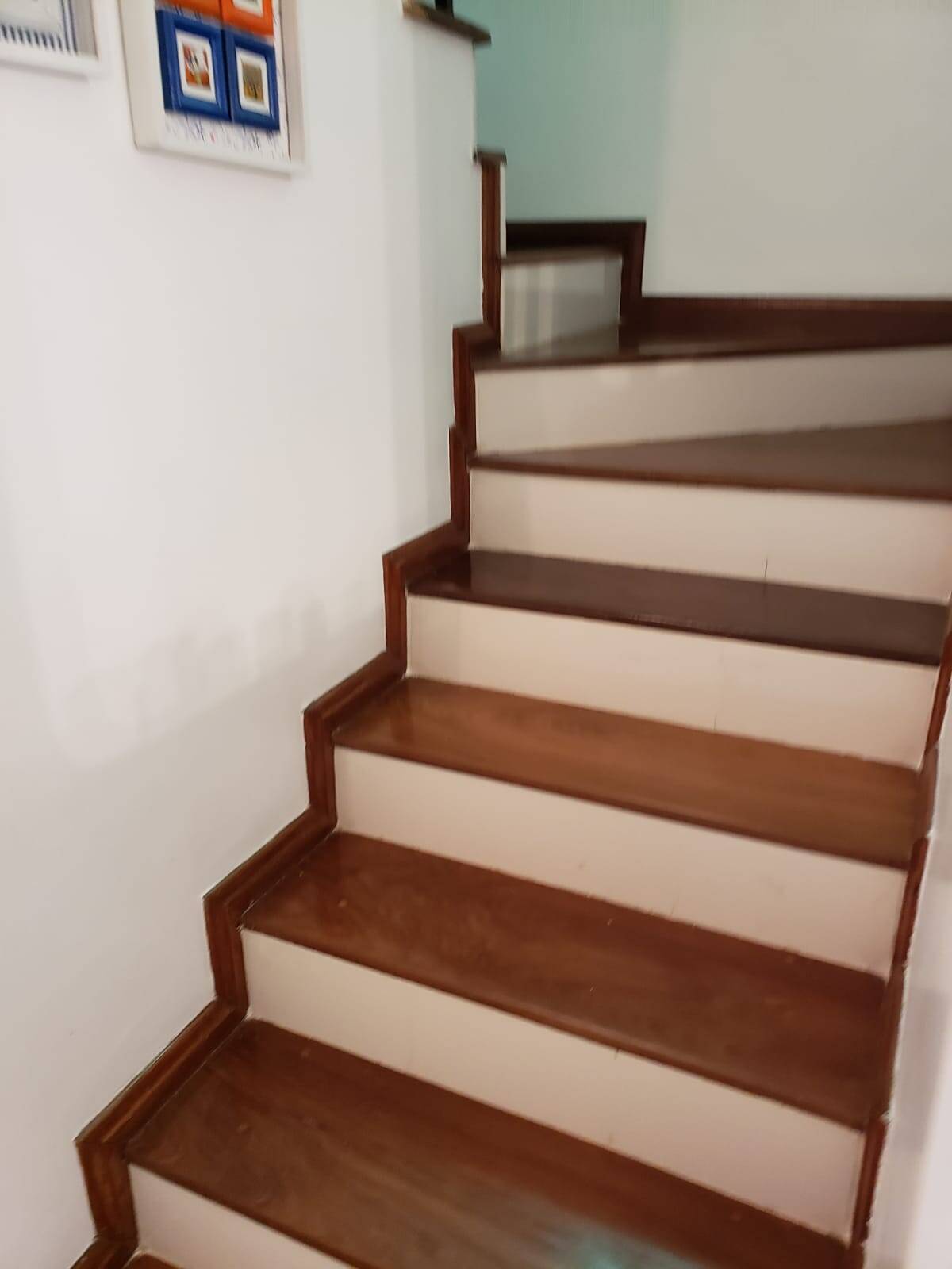 Casa, 3 quartos, 248 m² - Foto 12