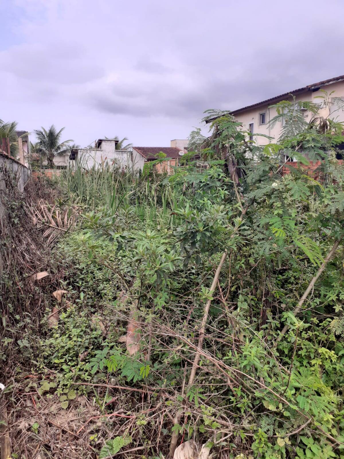 #621 - Área para Venda em Bertioga - SP