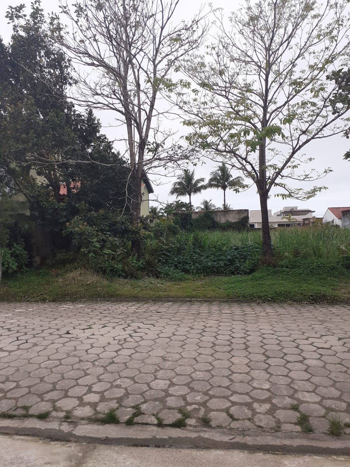 #623 - Área para Venda em Bertioga - SP