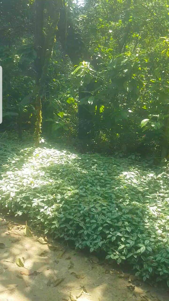 #624 - Área para Venda em São Sebastião - SP