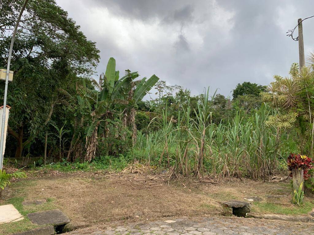 #642 - Área para Venda em Bertioga - SP