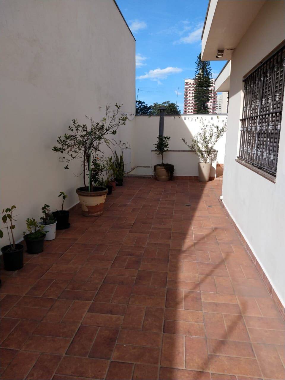 Casa, 3 quartos, 335 m² - Foto 11