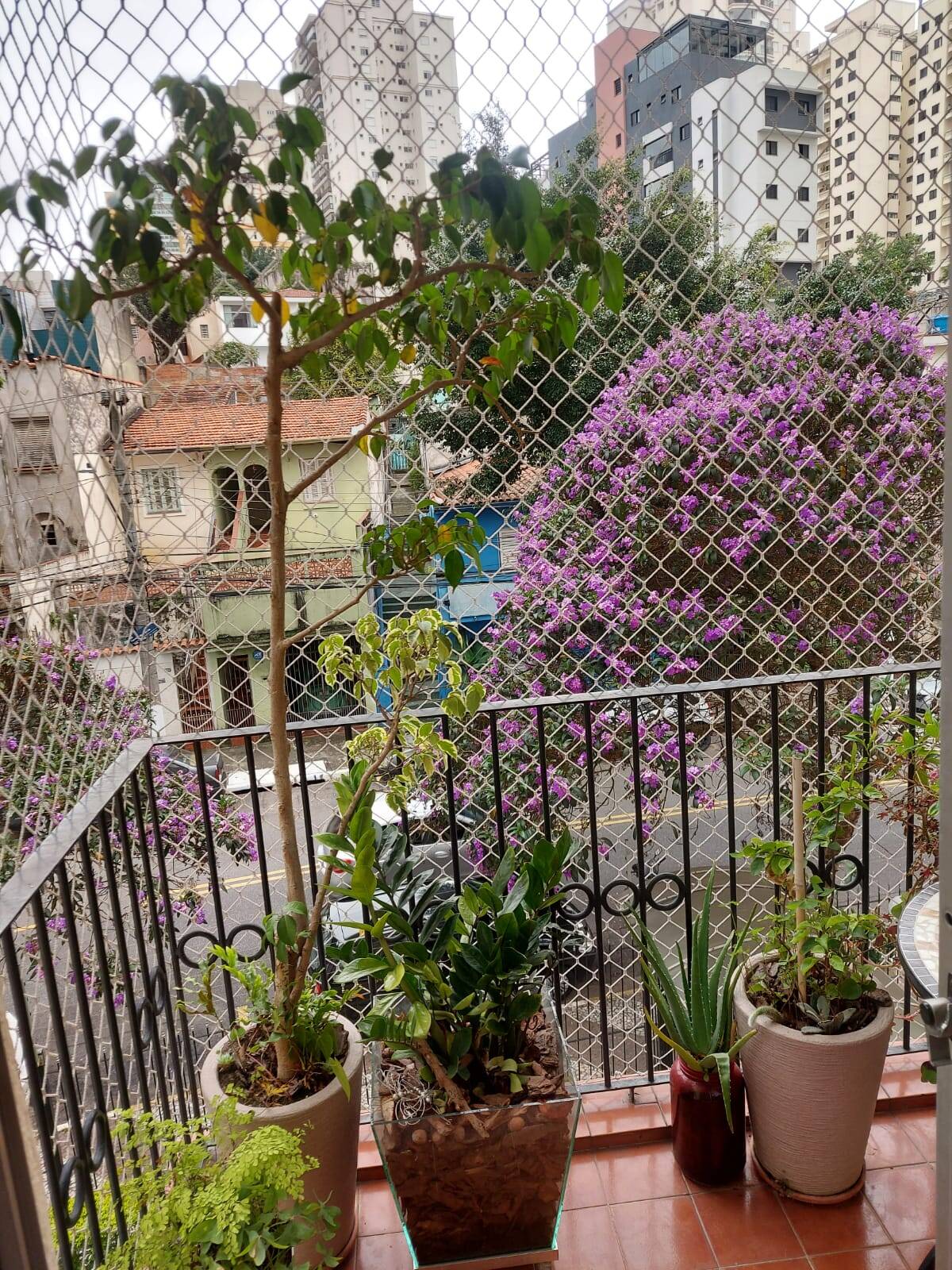 Apartamento, 3 quartos, 67 m² - Foto 3