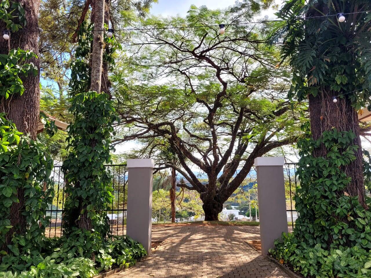 Terreno, 690 m² - Foto 15