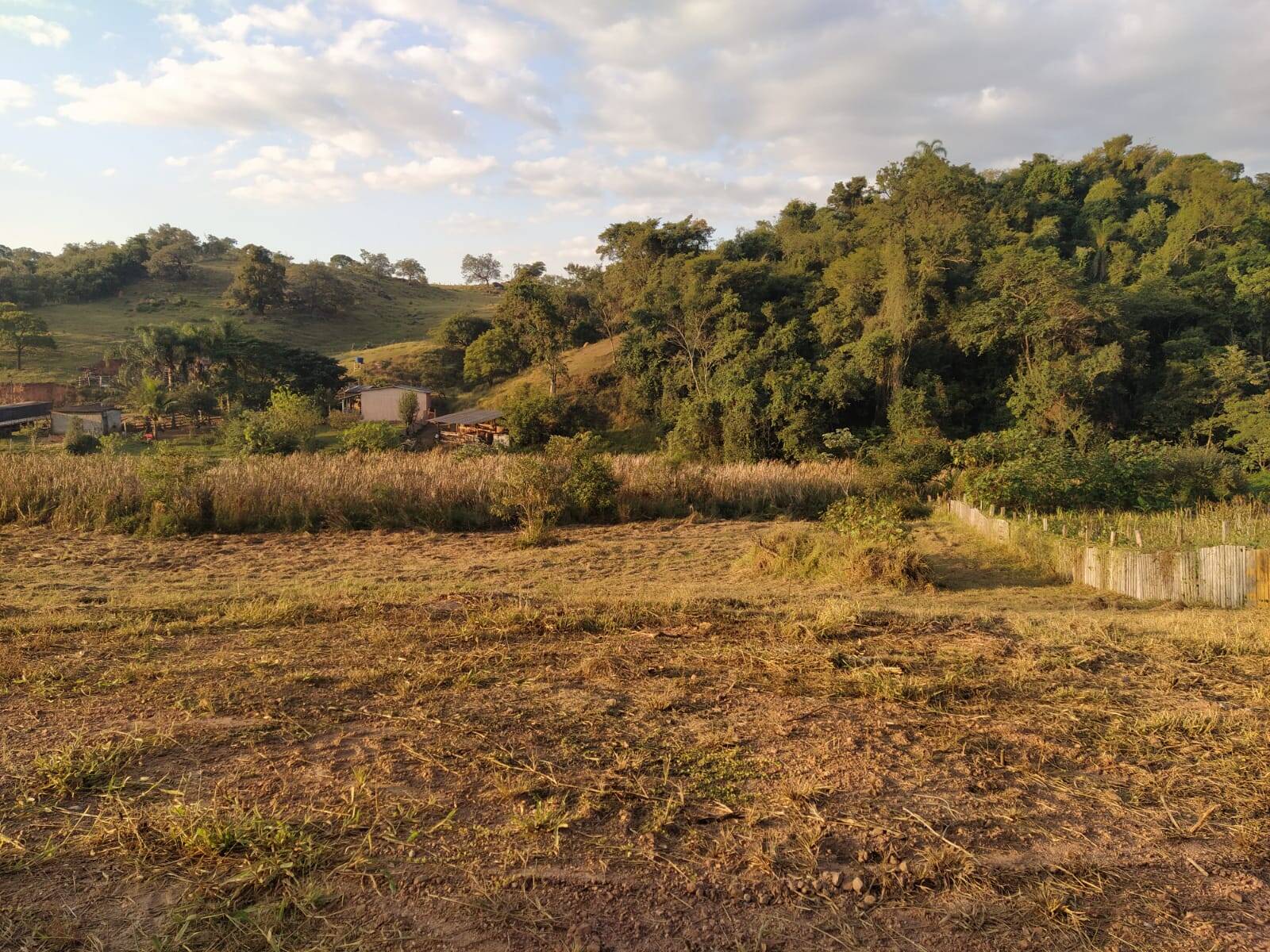 Terreno à venda, 1300m² - Foto 1