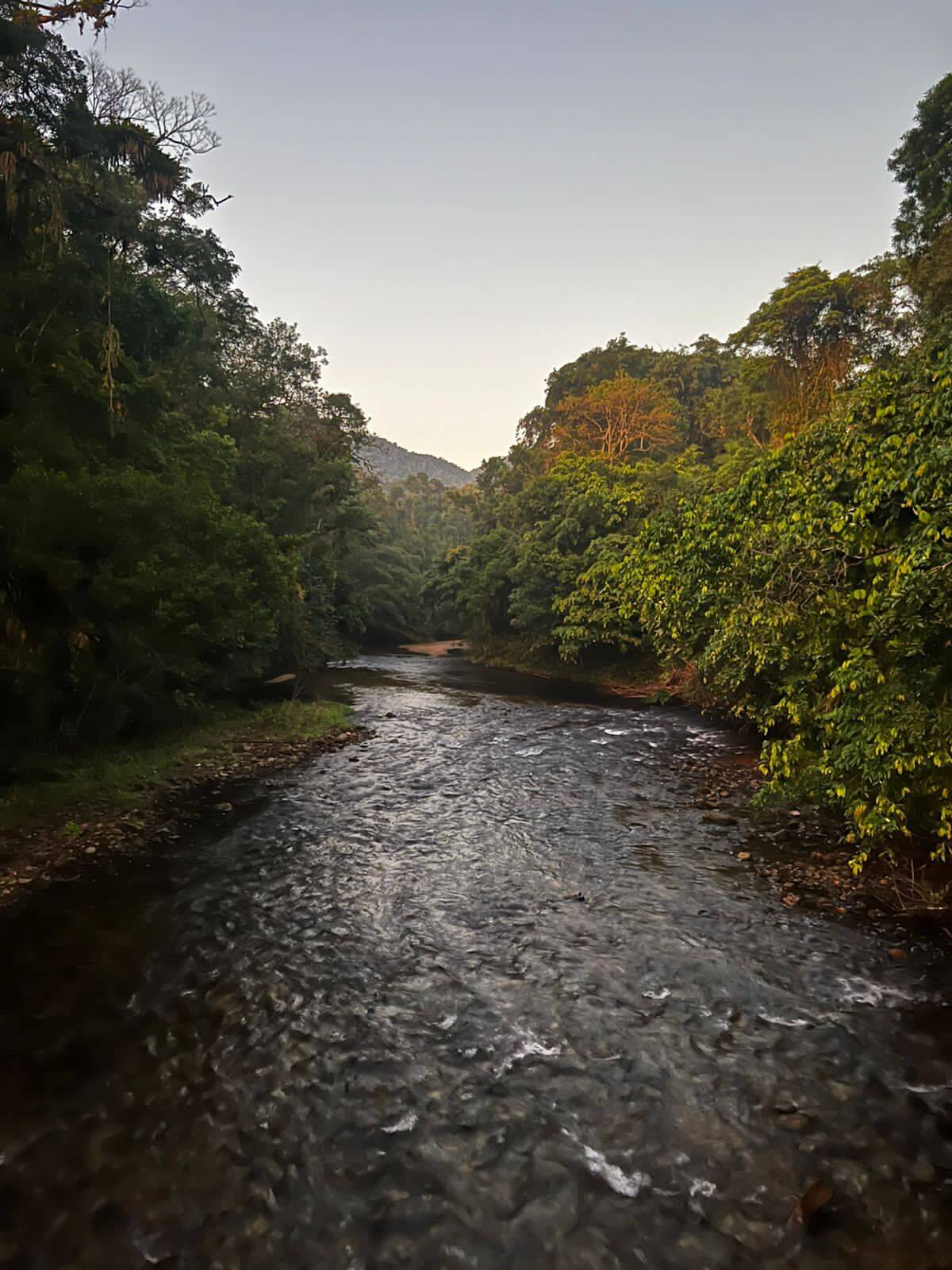 Casa, 5 quartos, 3524 m² - Foto 4