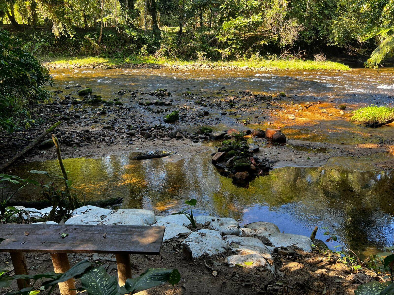 Casa, 5 quartos, 3524 m² - Foto 27