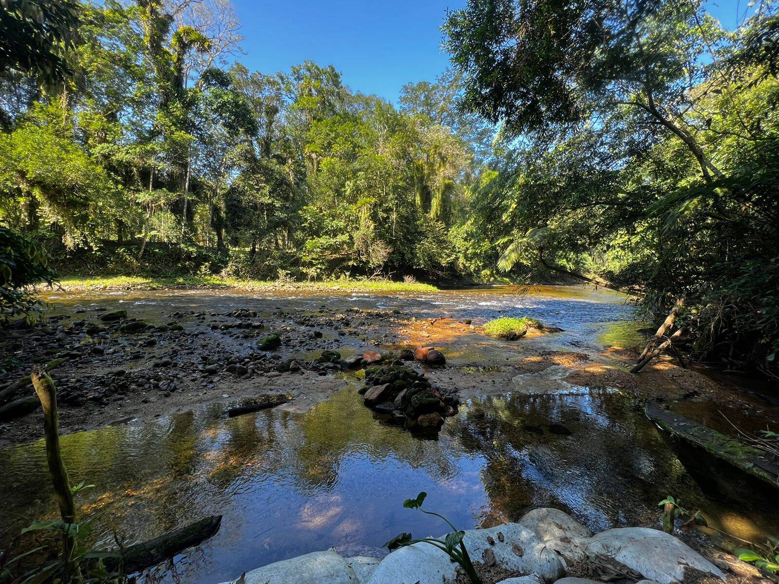 Casa, 5 quartos, 3524 m² - Foto 28