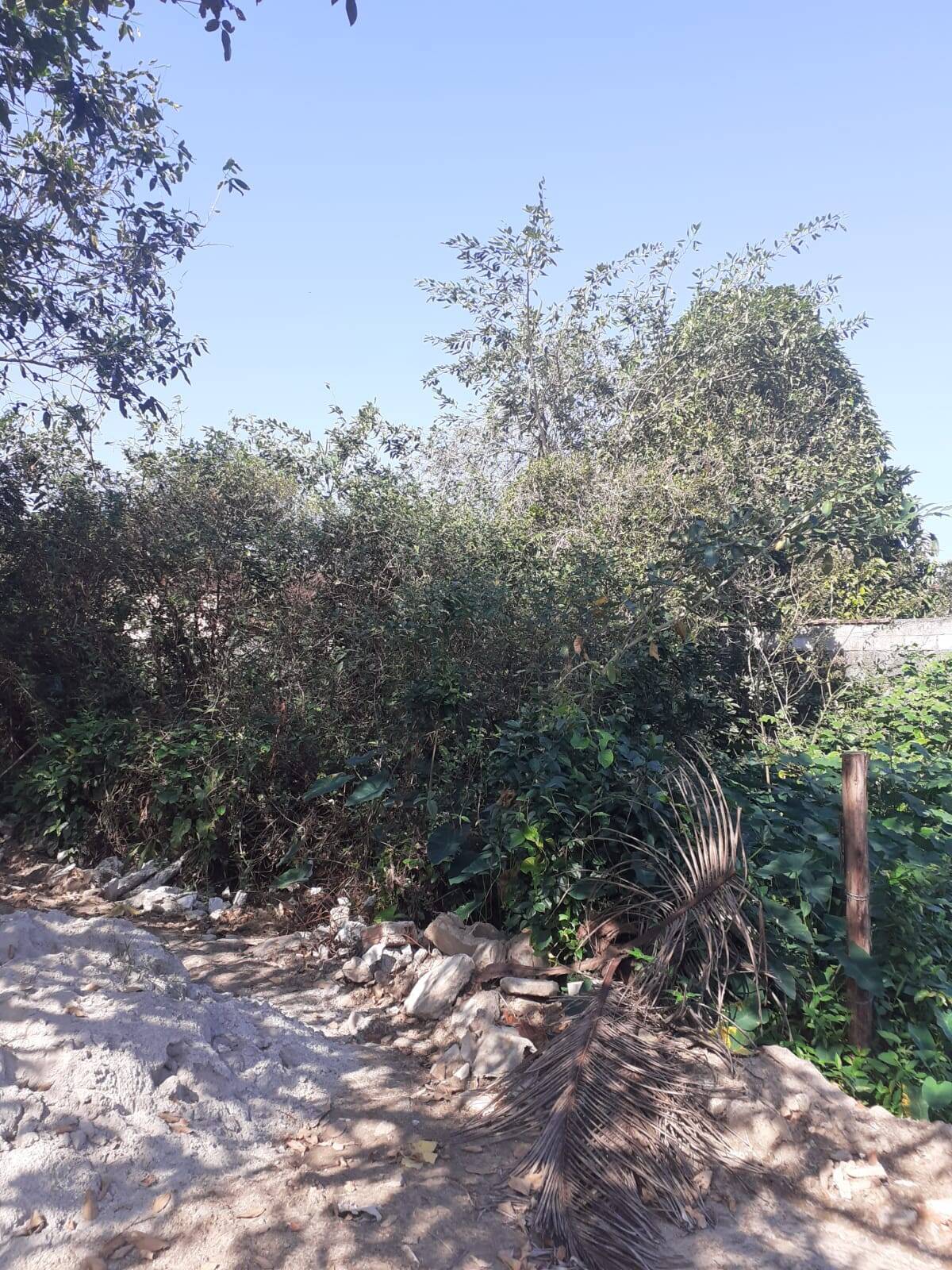 Terreno, 400 m² - Foto 6