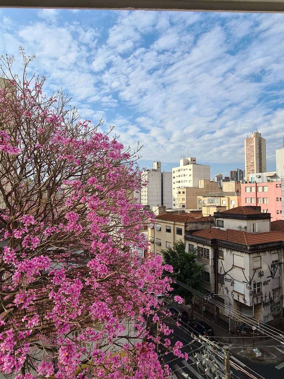 Apartamento, 1 quarto, 27 m² - Foto 10