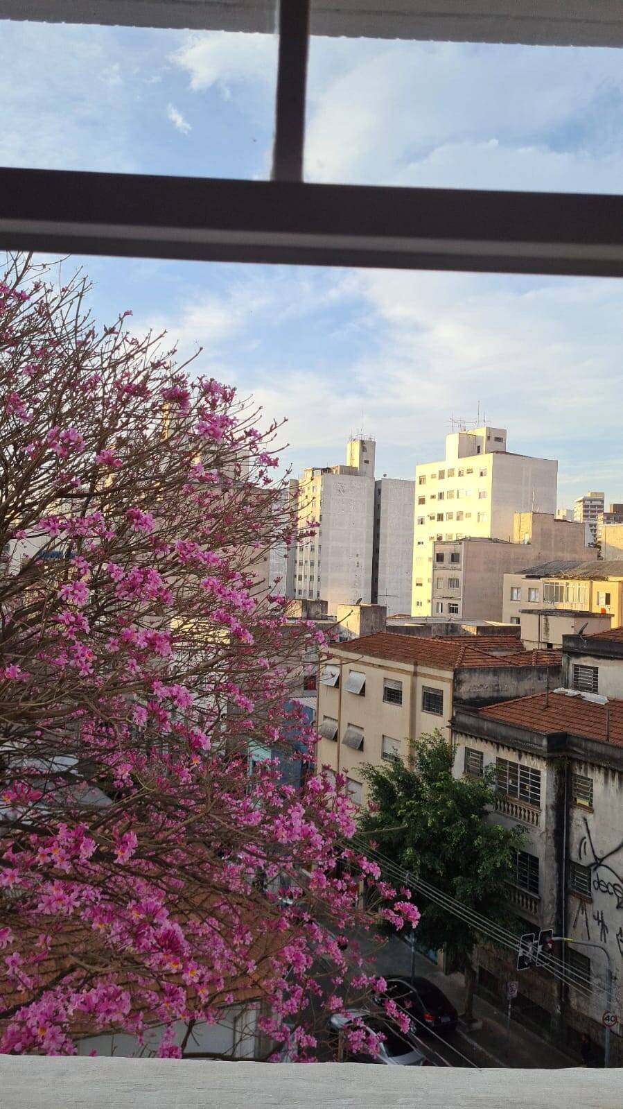 Apartamento, 1 quarto, 27 m² - Foto 11
