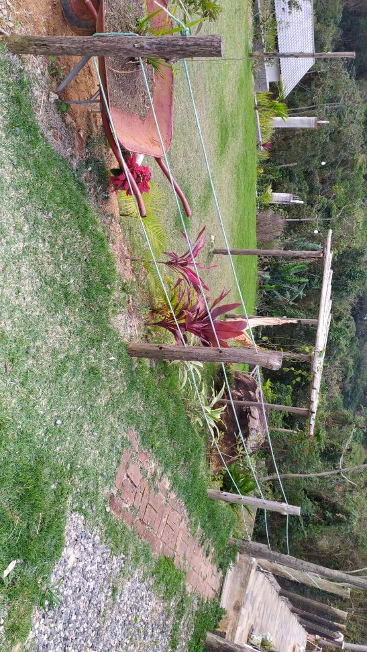 Casa, 7 quartos - Foto 14