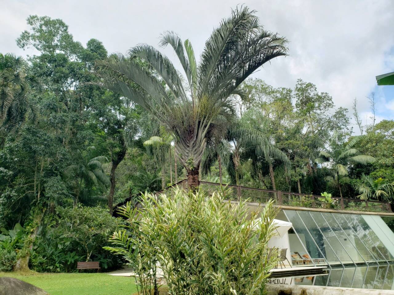 Casa, 3 quartos, 950 m² - Foto 2