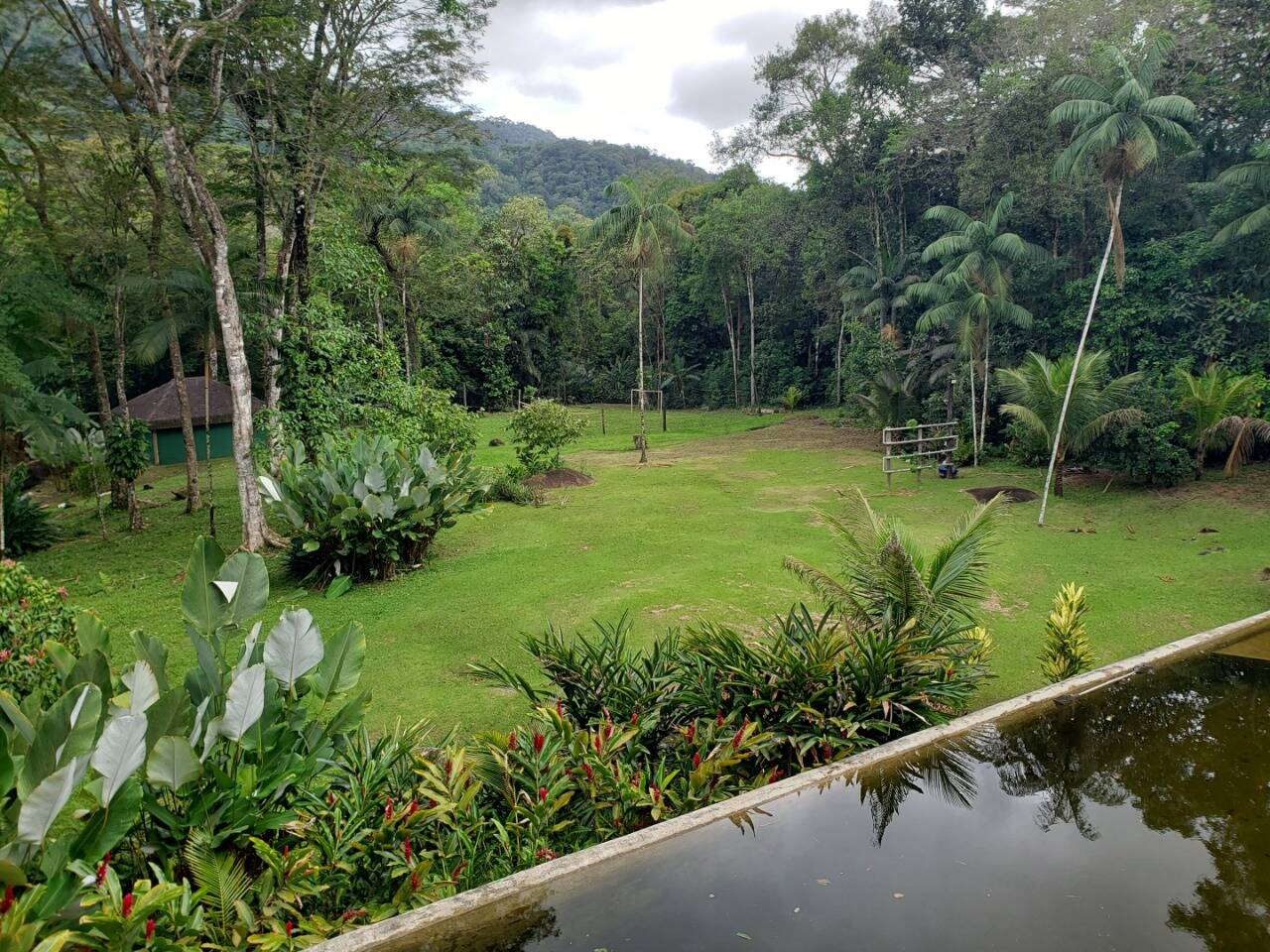 Casa, 3 quartos, 950 m² - Foto 9