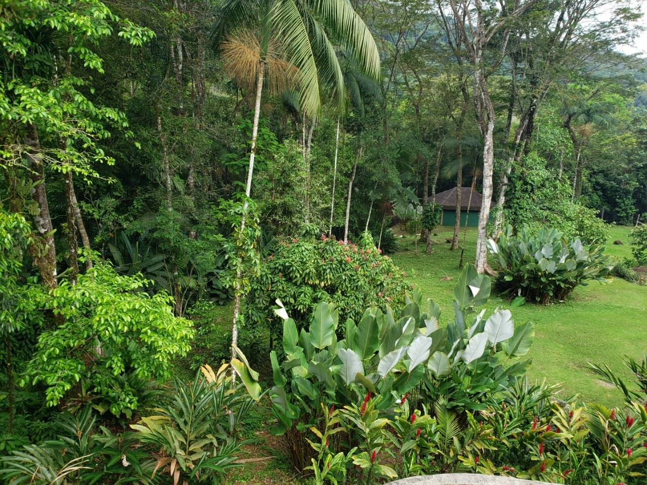 Casa, 3 quartos, 950 m² - Foto 10