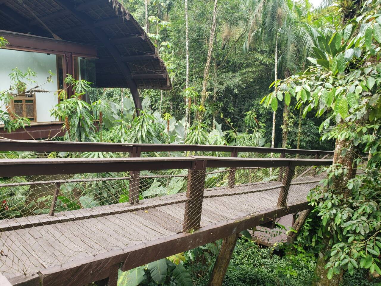 Casa, 3 quartos, 950 m² - Foto 13