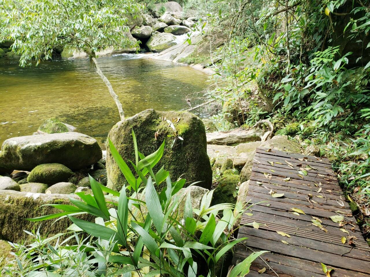 Casa, 3 quartos, 950 m² - Foto 19