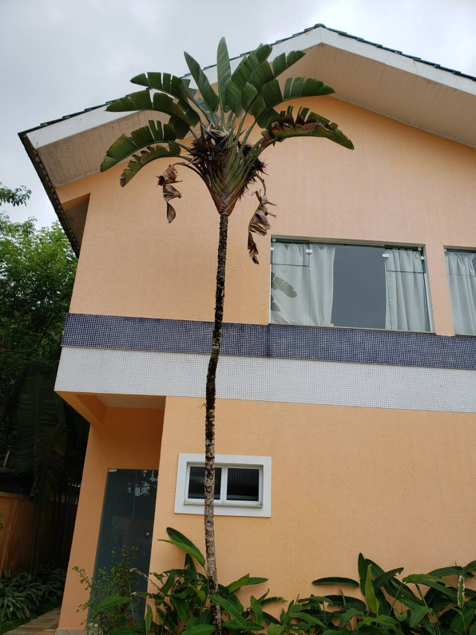 Casa, 5 quartos, 700 m² - Foto 7