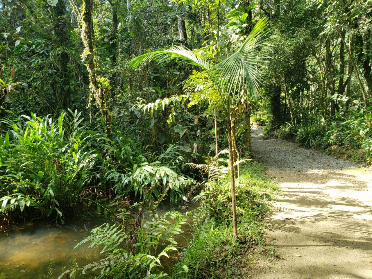 Casa, 2 quartos, 150 m² - Foto 9