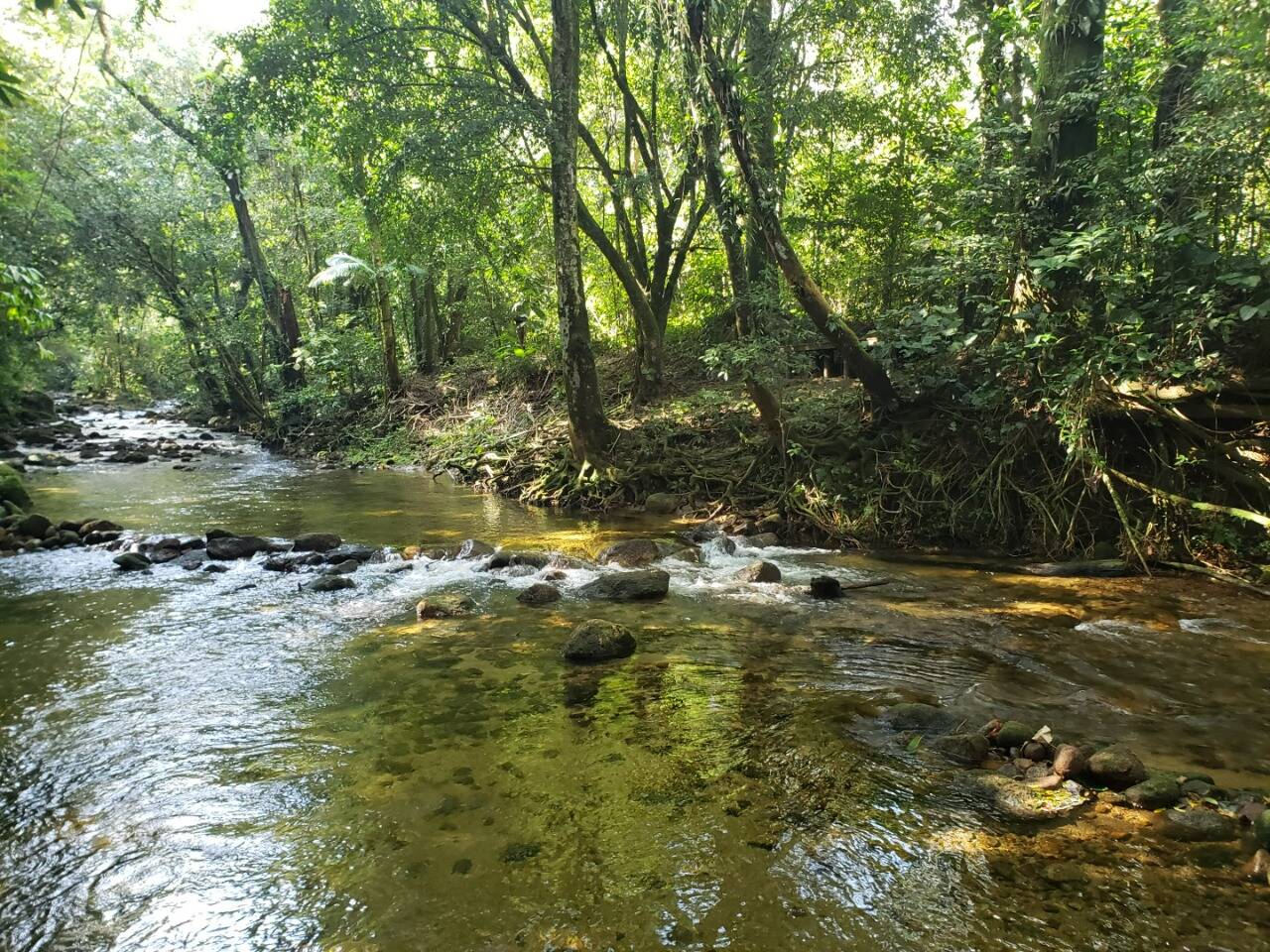 Casa, 2 quartos, 150 m² - Foto 12