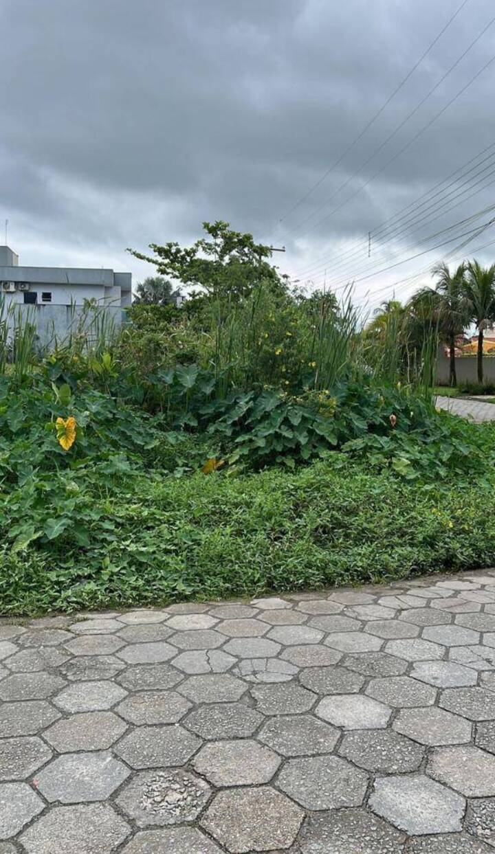 Terreno, 1747 m² - Foto 3