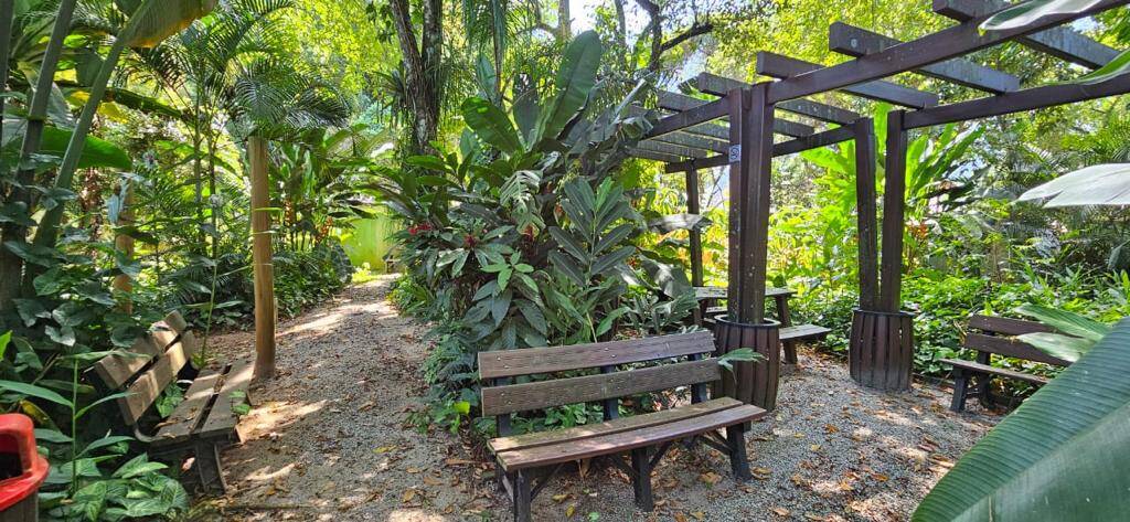 Casa, 4 quartos, 120 m² - Foto 25