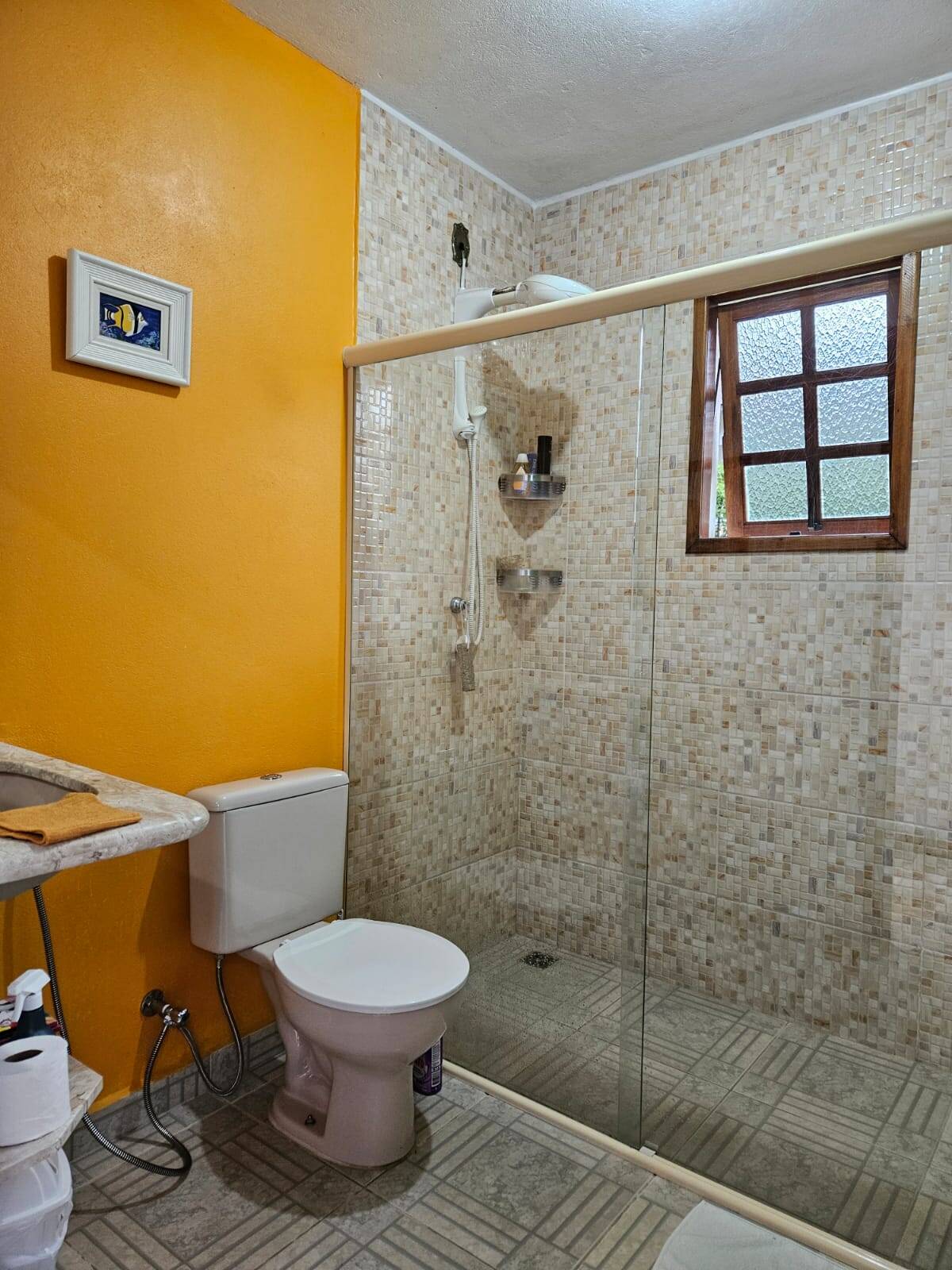 Casa, 3 quartos, 263 m² - Foto 4