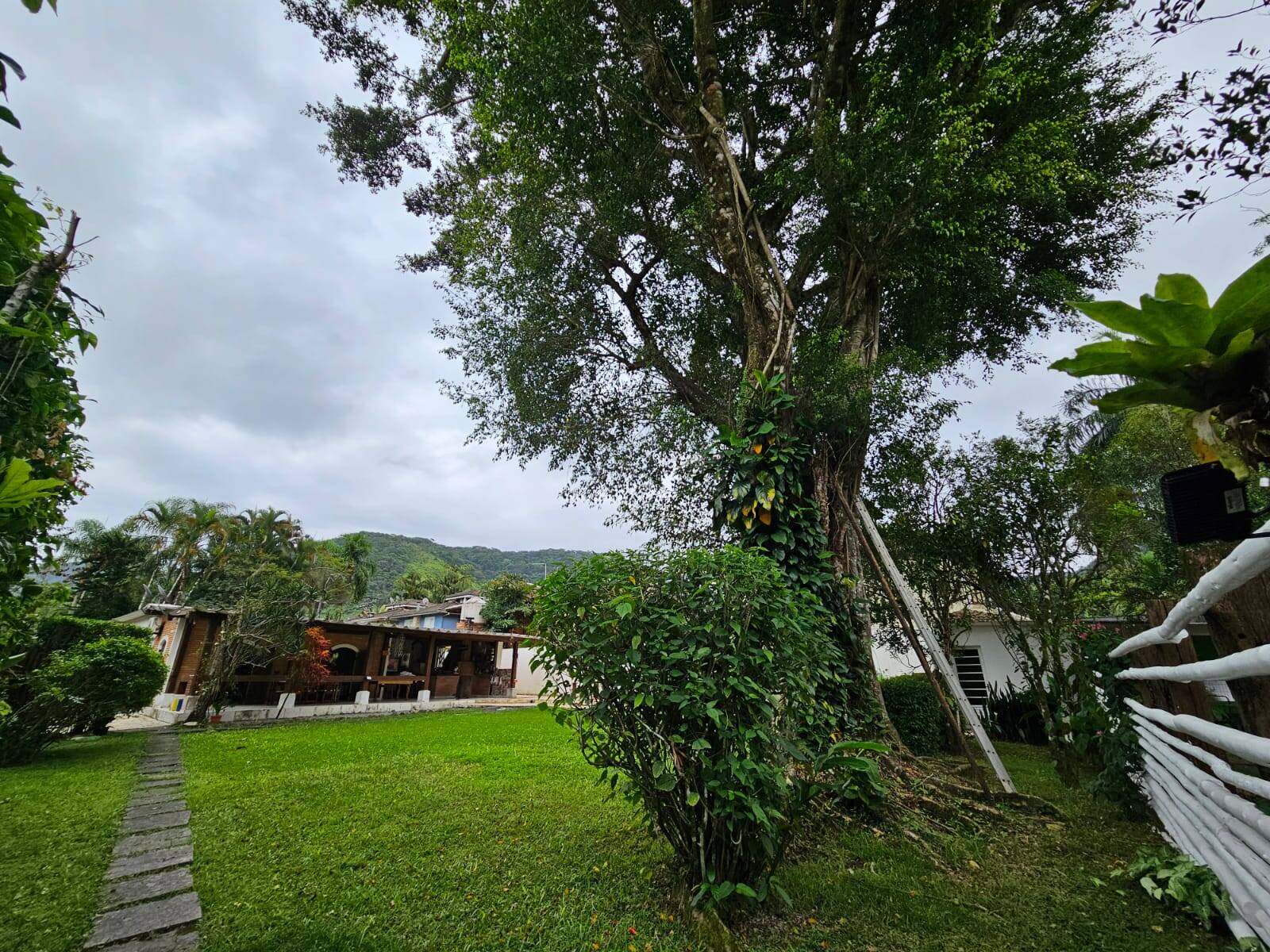 Casa, 3 quartos, 263 m² - Foto 30