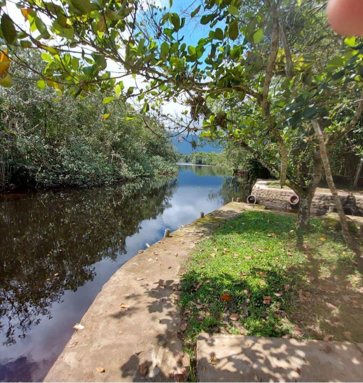 #1289 - Área para Venda em Bertioga - SP