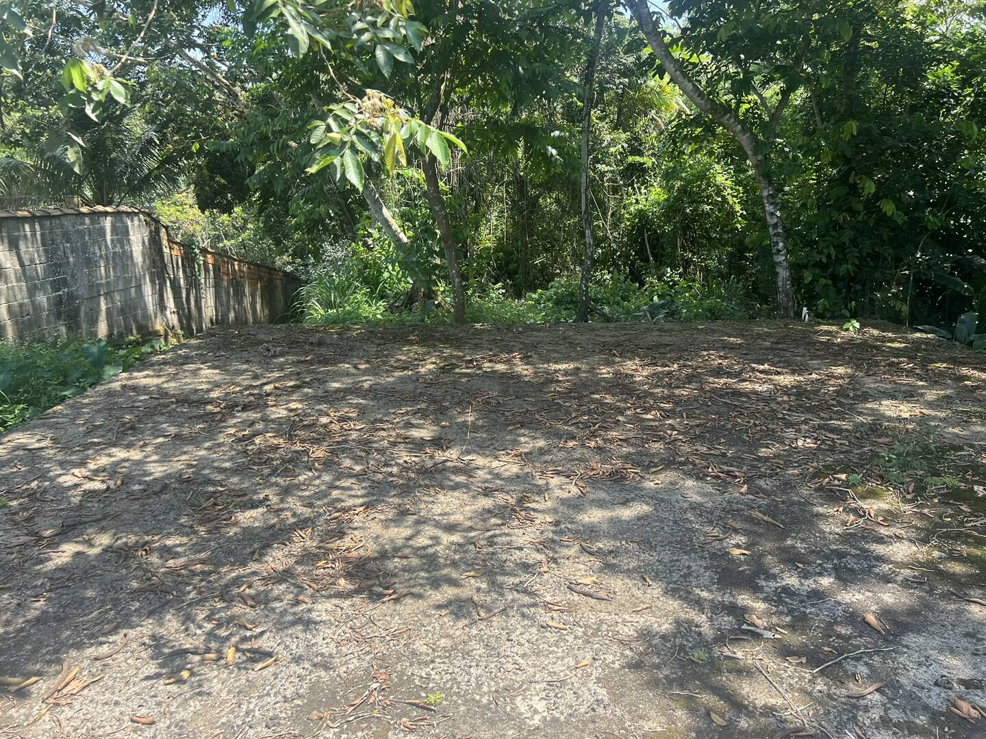 #1357 - Área para Venda em Bertioga - SP