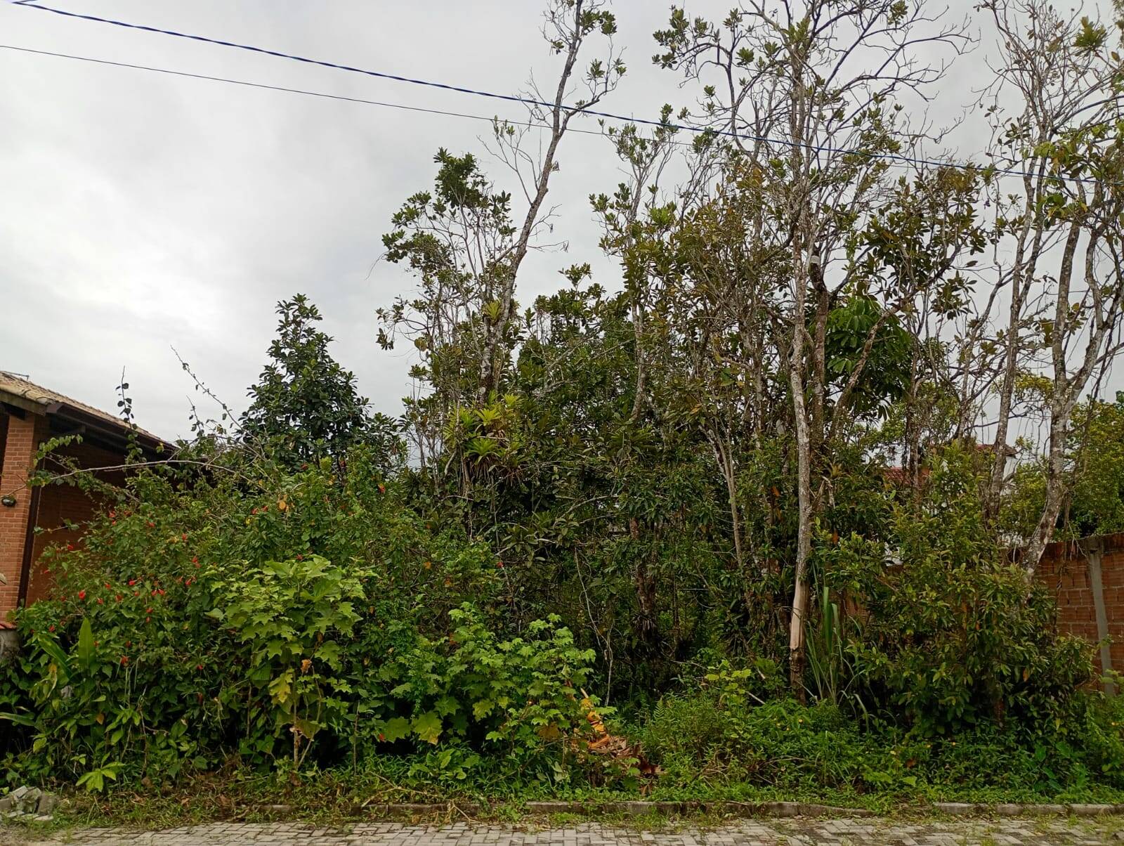 #1636 - Área para Venda em Bertioga - SP