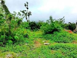 #131 - Área para Venda em Bertioga - SP