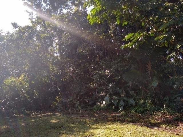 #367 - Área para Venda em Bertioga - SP