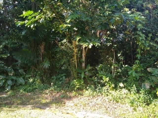 #367 - Área para Venda em Bertioga - SP