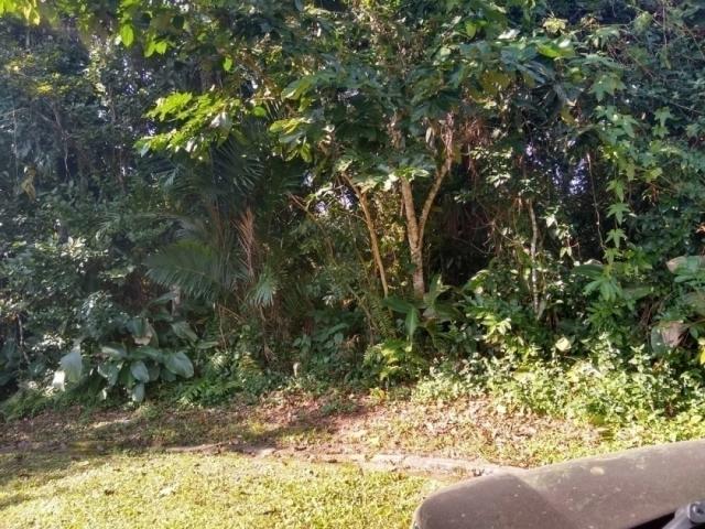 Área para Venda em Bertioga - 5