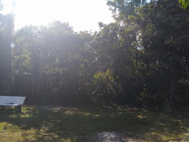 Área para Venda em Bertioga - 4