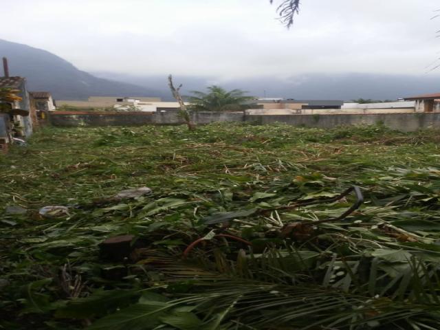 #404 - Área para Venda em Bertioga - SP - 1