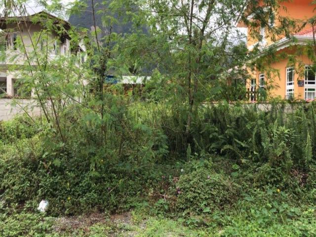 #405 - Área para Venda em Bertioga - SP