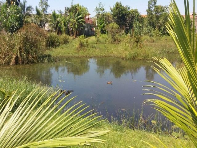 #423 - Área para Venda em Bertioga - SP