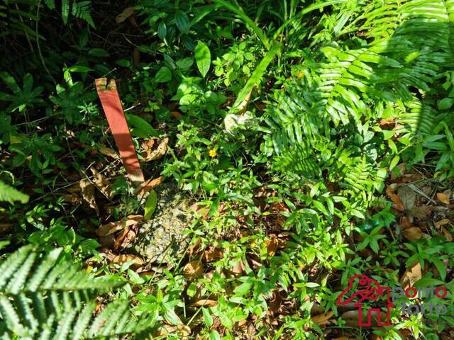 Área para Venda em Bertioga - 4