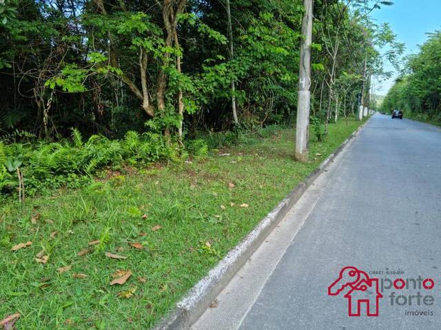 Área para Venda em Bertioga - 5