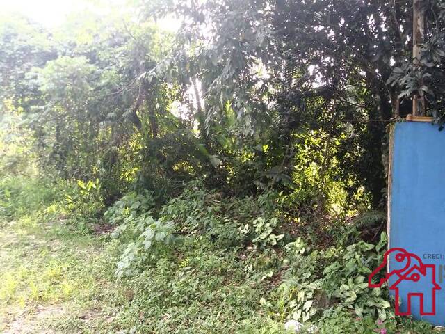 #553 - Área para Venda em Bertioga - SP