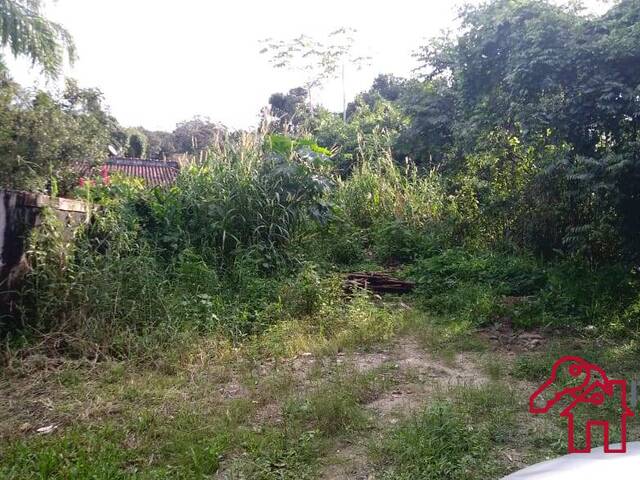 #553 - Área para Venda em Bertioga - SP