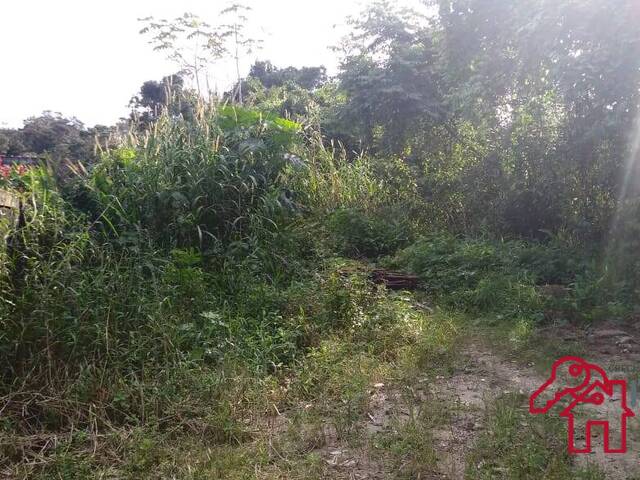Área para Venda em Bertioga - 5